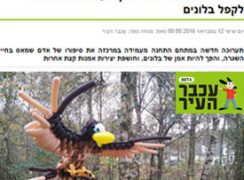 אמן הבלונים ברק דגן בראיון בעכבר העיר