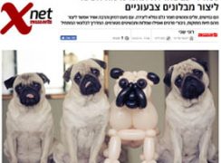כתבה על אמן הבלונים ברק דגן באתר Xnet