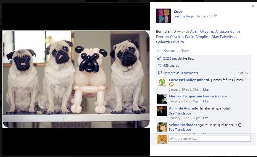 תמונת כלבי הבלונים בדף בפייסבוק